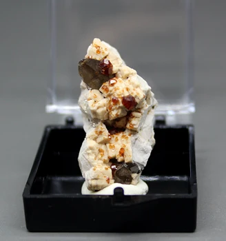 Prirodni granat i čaj Crystal simbioza mineral uzorke kamenja i kristala ljekovita kristali kvarca veličina kutije 3,4 cm