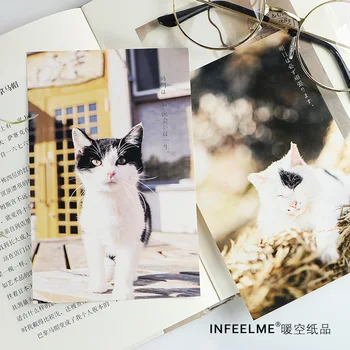 30 listova/set slatka mačka i šuma razglednica i čestitki poruku kartice DIY zine ukras