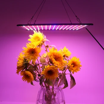 1000 W cijeli niz unutarnji 225 led rastu lampe obrezivanje svjetlo šator фитолампы fito za biljke cvijeće Uzgoj sadnica