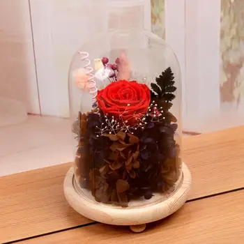 Stolni displej stakleni krov Cloche poklopac dekor suhi cvijet nakit ručne izrade zanat zvono drvo boja baze s nogama led svjetlo