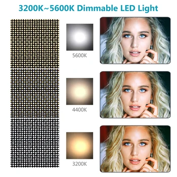 Neewer Dimmable LED Video Light Photography LED Lighting with Metal Frame 1320 LED Beads 3200-5600K, DC Adapter/Battery Power