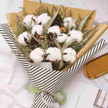 5 kom/bala 55 cm prirodni pamuk suho cvijeće jednostavan moderan dom Svadbena dekoracija bijeli pamuk cvijet grančica Valentinovo poklon