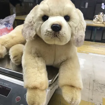 Dorimytrader kvalitetu simulacija životinja zlatni retriver je pas pliš plišane igračke soft vađenje Pas kućni ljubimac lutka 50x23cm