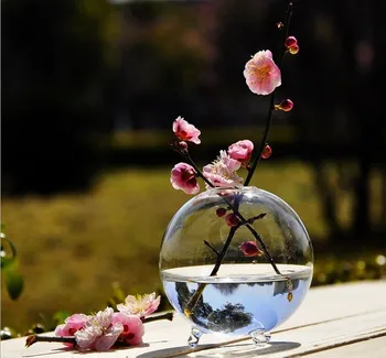 Dah proljeća cijele prozirno staklo hidroponski Vaza stola akvarij cvjetnih aranžmana posuđe ured biljka ukras