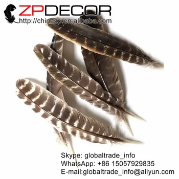 ZPDECOR 20-25 cm (8-10 cm) 50 kom. / lot odabrani premijer kvaliteta prirodnih lijepa i divlja purica pero krila za DIY i Karneval