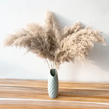 10/20 komada пампасная trava mekane suhe prirodne reed cvijeće, buketi sadrži boji plastične vaze Božićni kućni Svadbena dekoracija