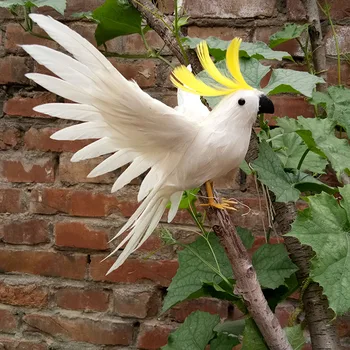 Pjena i perje oko 20x30cm ravnanje iz krila bijela perja papiga ptica zanat glavni dvorište nakit poklon p0207