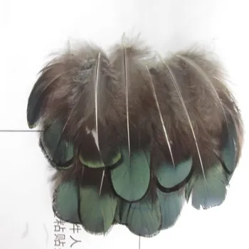 50 kom./compl. lijep prirodni zeleni fazan perje za obrt kape i nakit DIY Handmake umjetnost materijal pribor