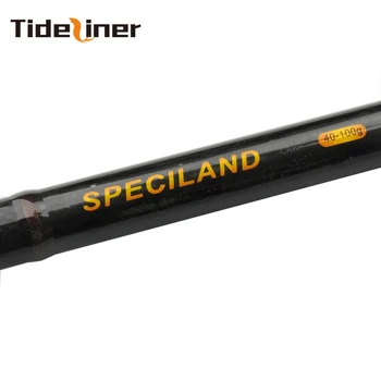 Tideliner 3.6 m 3.9 m carbon fiber European Šarana fishing rod 3.5 lbs 40-100g slatkovodno 3 dijela vrti удочка opreme
