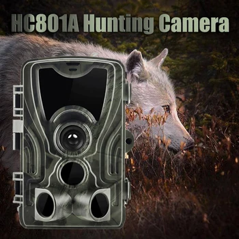 HC-801A Suntek Hunting camera GPS GSM MMS 2G, 4G 801a camara animales Camo Hunting Game Trail Camera Wildlife Photo trap Scouts
