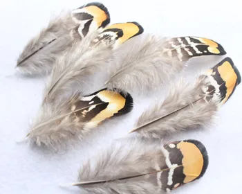 Vruće prodaju 100 kom. / lot predivna 2-4 cm / 4-10 cm prirodni fazan perje ukrasne DIY za maske nakit zanatske 19 stilova