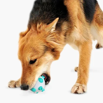 Interaktivni pas žvakati igračka štene Molarni čišćenje zuba loptu igračka čvrst ugriz otporan četkica za zube za pse trening Pet Product